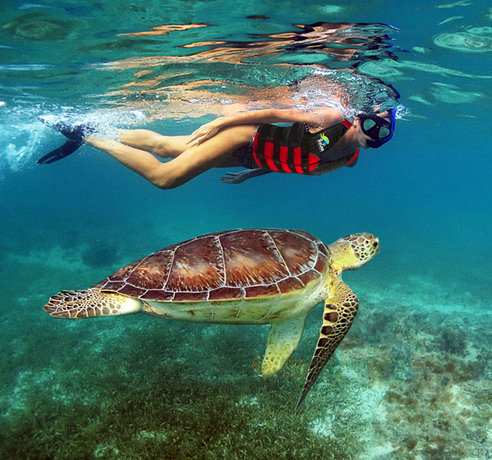 Underwater World from Xpu Ha, Puerto Aventuras, Akumal, Cancun, Playa del Carmen - excursion_en