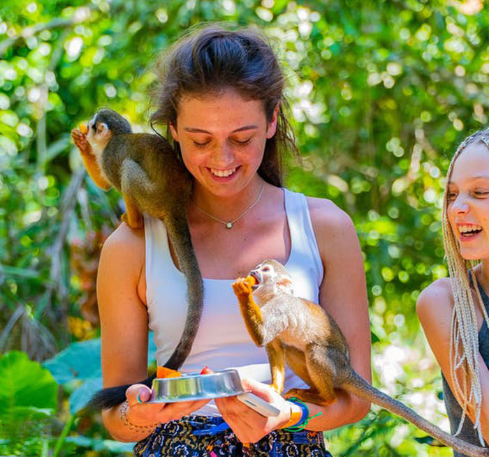 Monkeyland + Buggy from Bavaro, Punta Cana, Macao, Uvero Alto - excursion_de